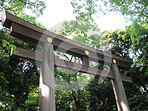 The Meiji Shrine Entrance