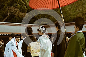 The procession of a Japanese Shinto wedding at the famous Meiji Shrine in Tokyo, Japan.