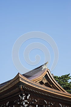 Meiji Shrine, Shibuya, Tokyo, Japan