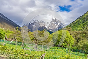 Meili Snow Mountain Scenery and Rural Roads in Yunnan Province, China