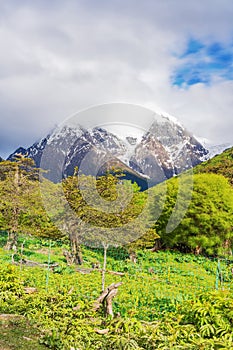 Meili Snow Mountain Scenery and Rural Roads in Yunnan Province, China