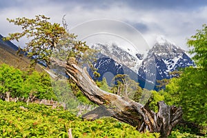 Meili Snow Mountain Scenery and Rural Roads in Yunnan Province, China