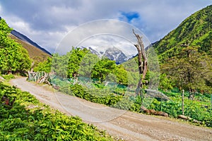 Meili Snow Mountain Scenery and Rural Roads in Yunnan Province, China