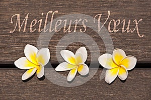 Meilleurs voeux, meaning best wishes in French