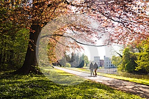 Meise Botanic Garden