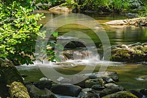 Mejestic Trout Stream in the Mountains of Virginia, USA