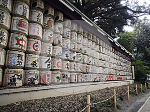 Meji shine chibuya the garden in the morning