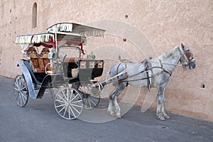 Meknes hackney carriage