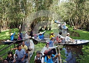 Mekong Delta, Tra Su indigo forest, ecotourism