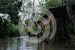 Mekong delta, Vietnam, river