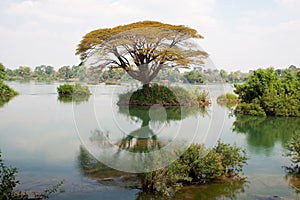 Mekong river