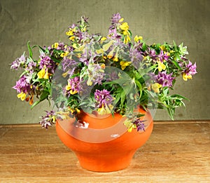 Melampyrum nemorosum. Still life. Bouquet of meadow flowers