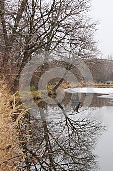 Melancholic autumn at the pond