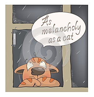 The melancholy of the cat cartoon