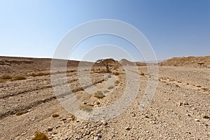 Melancholy and emptiness of the desert in Israel.