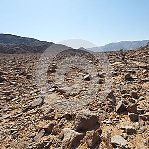 Melancholy and emptiness of the desert in Israel.