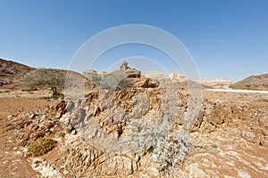 Melancholy and emptiness of the desert in Israel.