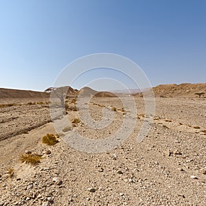 Melancholy and emptiness of the desert in Israel.