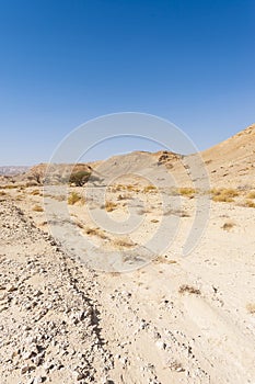 Melancholy and emptiness of the desert in Israel.