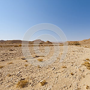 Melancholy and emptiness of the desert in Israel.