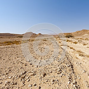 Melancholy and emptiness of the desert in Israel.