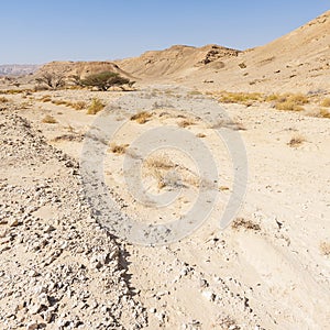 Melancholy and emptiness of the desert in Israel.