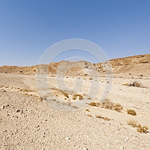 Melancholy and emptiness of the desert in Israel.