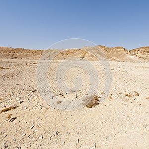 Melancholy and emptiness of the desert in Israel.