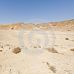 Melancholy and emptiness of the desert in Israel.