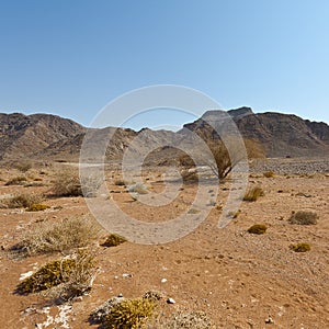 Melancholy and emptiness of the desert in Israel.