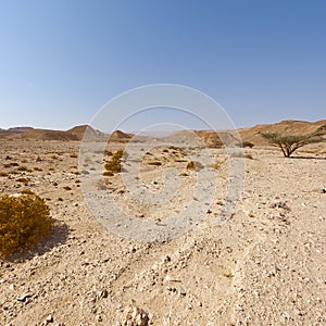 Melancholy and emptiness of the desert in Israel