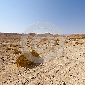 Melancholy and emptiness of the desert in Israel