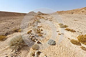 Melancholy and emptiness of the desert in Israel