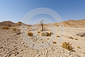 Melancholy and emptiness of the desert in Israel