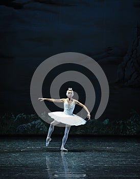 Melancholy linger at Lakeside-The Swan Lakeside-ballet Swan Lake