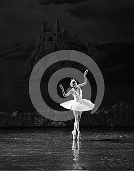 Melancholy linger at Lakeside-The Swan Lakeside-ballet Swan Lake