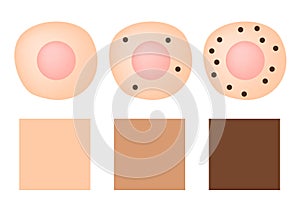 Melanin in cell and skin color  . protect white skin