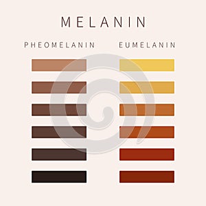 Melanin skin tone color palette scheme design