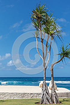 Melasti Beach in Bukit, Bali, Indonesia