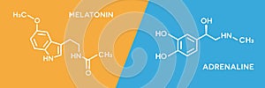 Melatonin and adrenaline hormone symbols. Human body hormones molecular chemical formula.