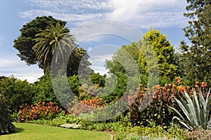 Melbourne Botanical Garden