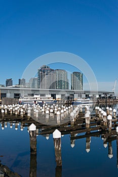 Melbourne Docklands suburb with wharf, boats and modern buildings photo