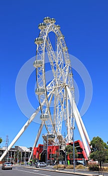 Melbourne star ferris wheel