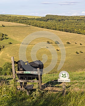 Melbury Down in Dorset, UK