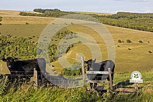 Melbury Down in Dorset, UK