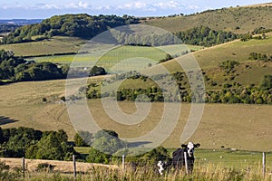 Melbury Down in Dorset, UK
