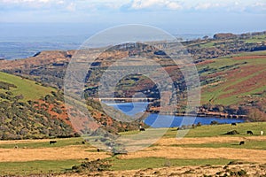 Meldon Reservoir, Dartmoor