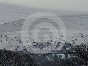 Meldon viaduct in the snow with Longstone Hill in the background, Dartmoor