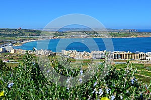 Mellieha Bay - Malta photo