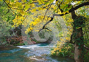 Mellow autumn on river bank photo